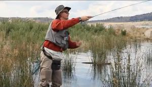 VIDEO: The Night Rise